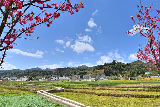 昌宁：碧水蓝天生红利　绿水青山留乡愁