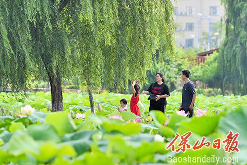3荷塘与人 (7).JPG