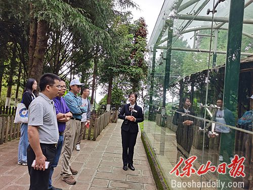 调研组在善洲林场调研.jpg