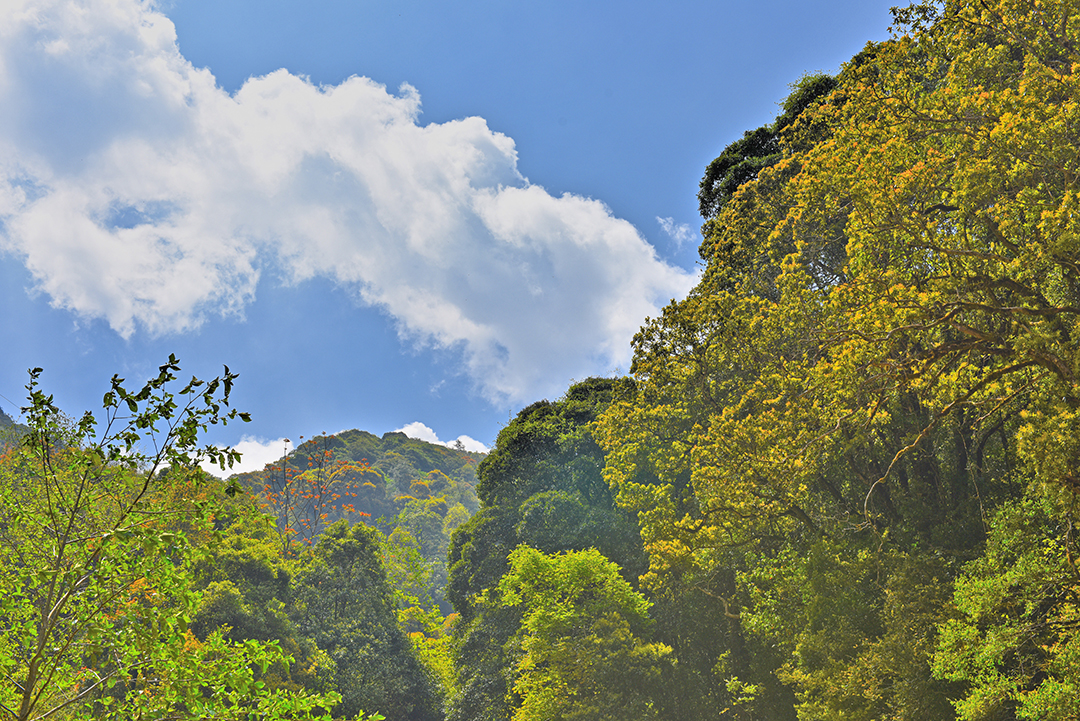 1天堂山 (7).JPG