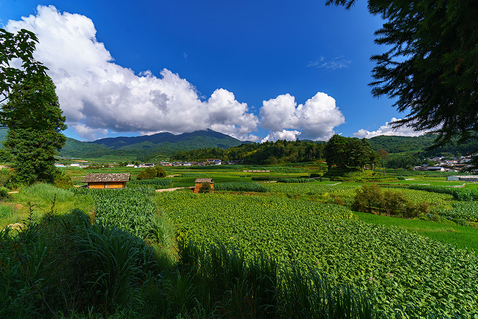 3.田园风光.jpg