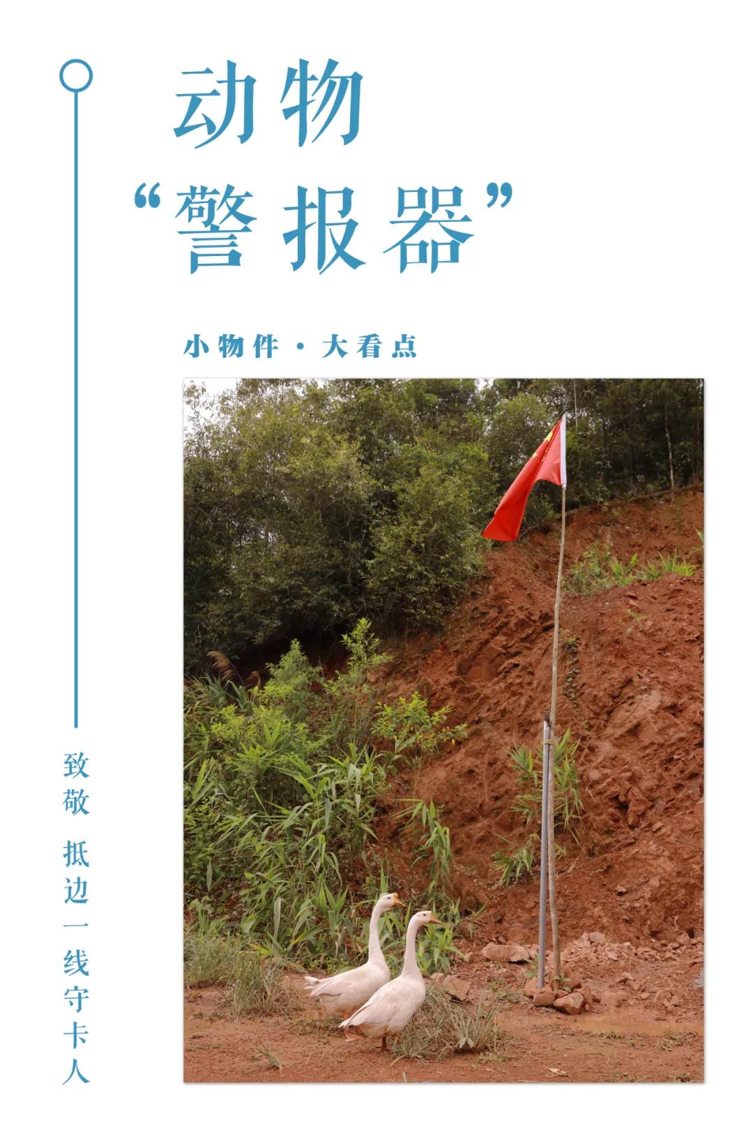 微信图片_20210813102151.jpg