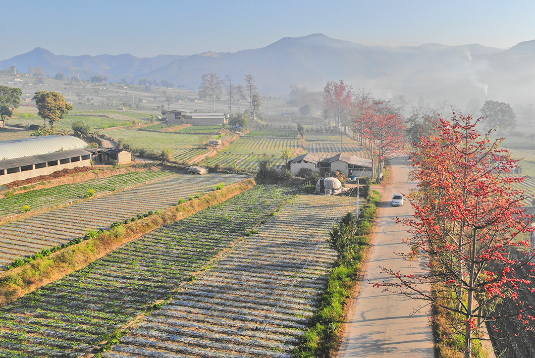 DJI_0915.JPG
