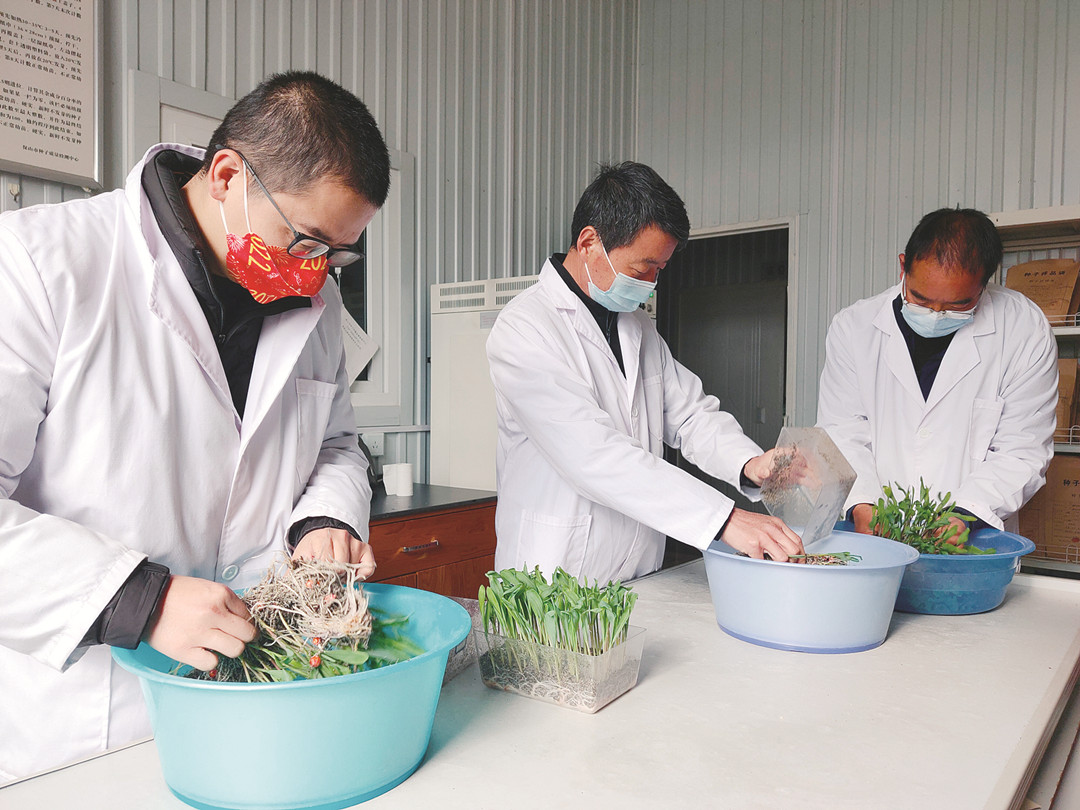 隆阳把好源头关 让农民用上放心种.jpg