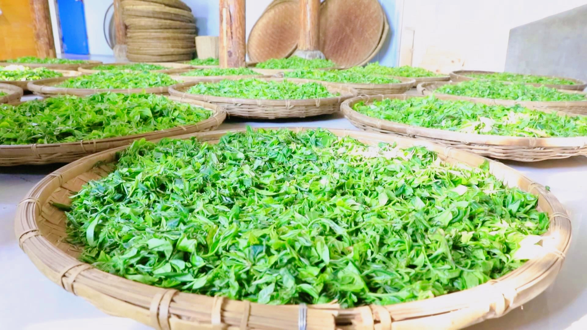 4鲜茶.jpg